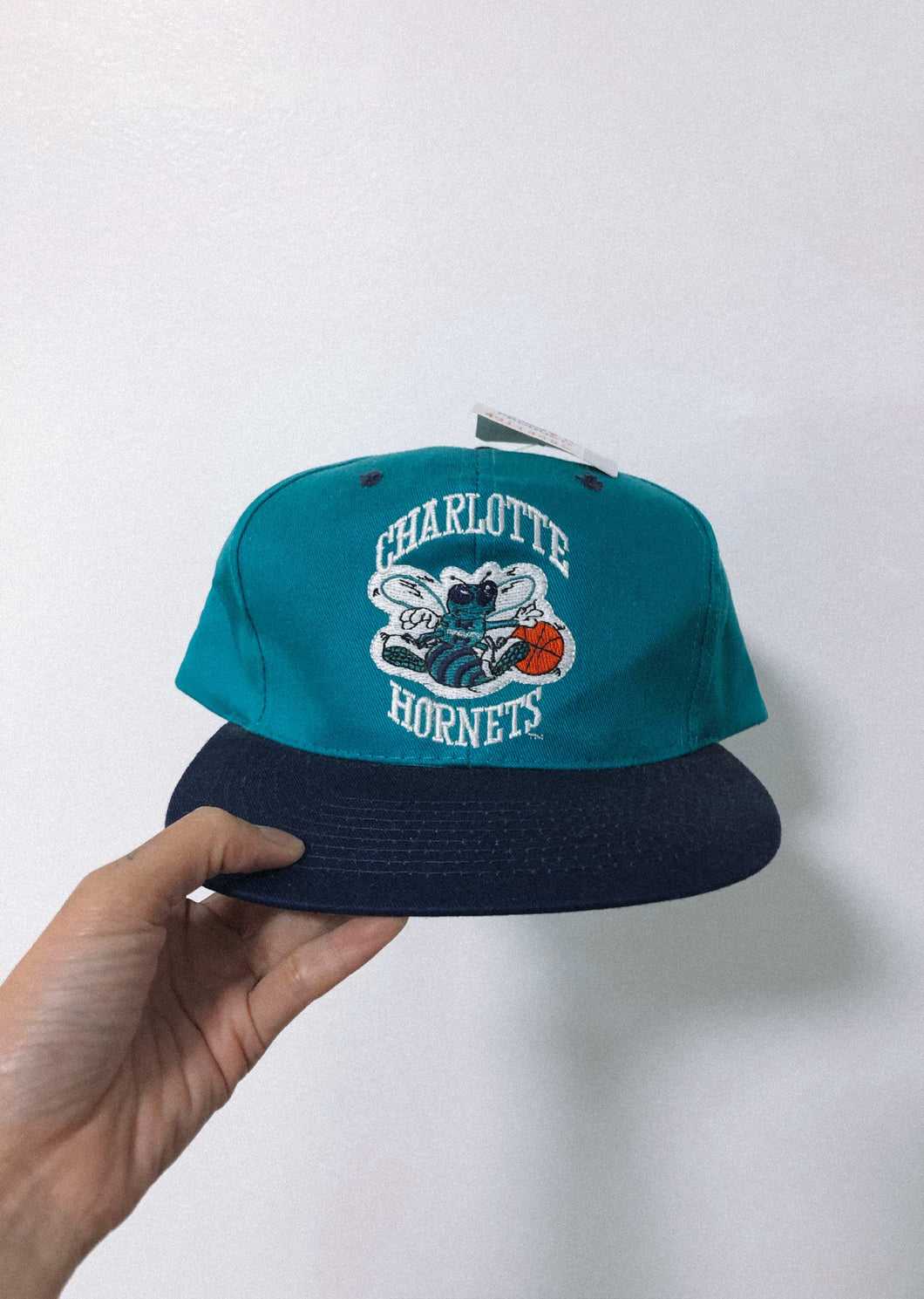 Charlotte Hornets NBA Snapback Hat in 2023